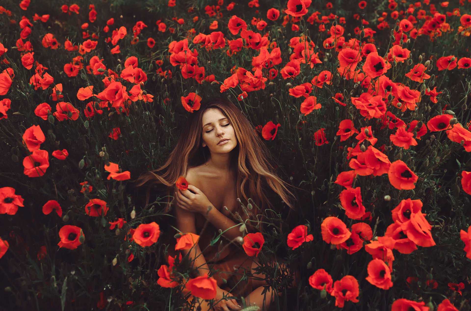 ragazza natura papaveri fiori