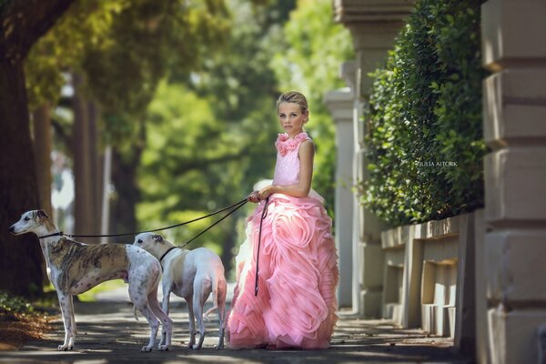 Una ragazza in un vestito rosa cammina con i cani