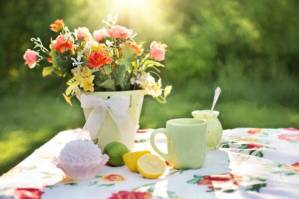 Picnic nella natura. Tovaglia sull erba