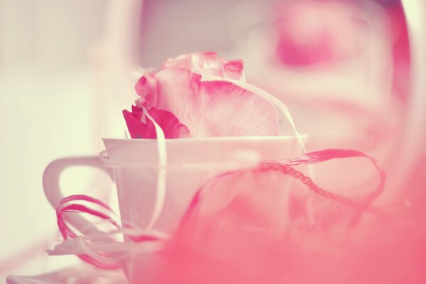 Pétales roses dans une tasse blanche