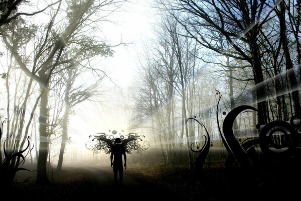 Schatten von der Sonne im Wald