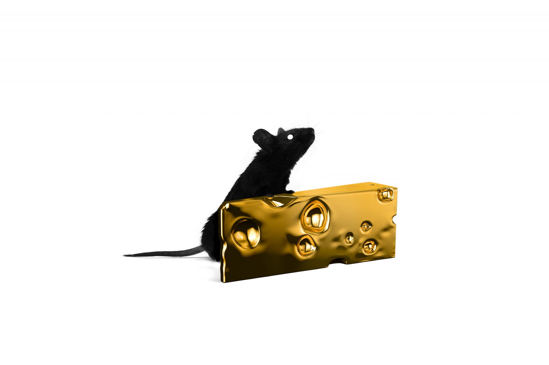 mouse cheese art mouse tail