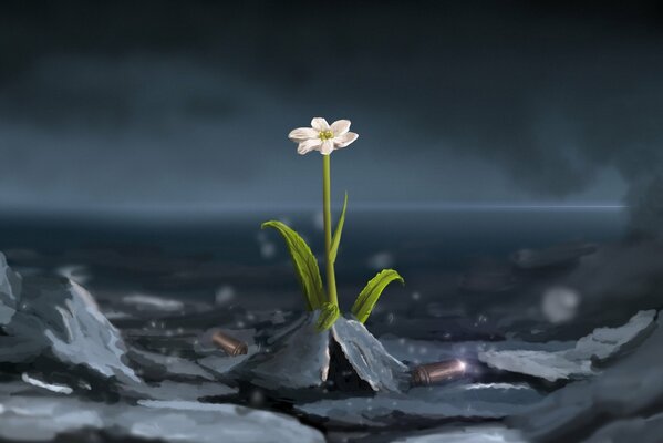 A través de las espinas a las estrellas. Flor solitaria