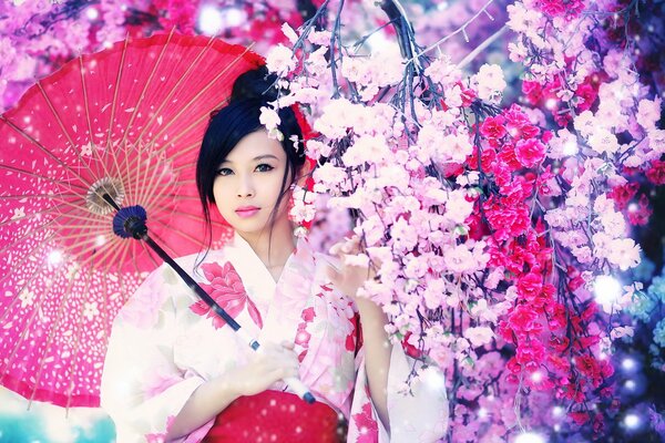 Asiatische Mädchen auf Sakura Hintergrund mit rosa Regenschirm