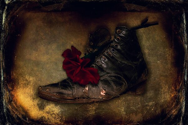 An old, worn-out shoe and a carnation