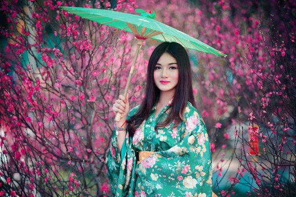 Asiatische Mädchen auf Sakura Hintergrund mit einem grünen Regenschirm