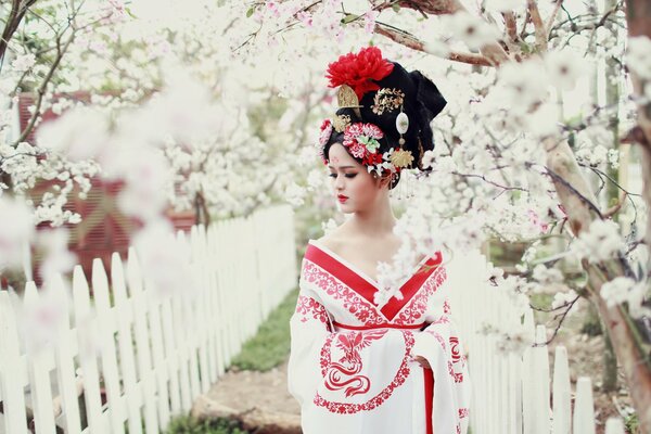 Japanese girl. Cherry blossoms