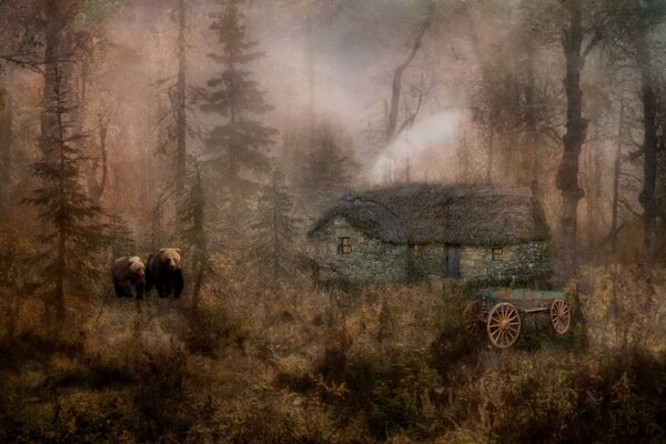 Cabane dans la forêt dense