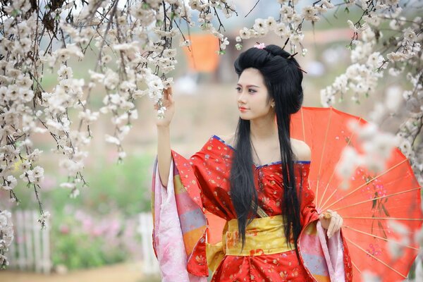 Japanese motifs - a girl on a background of cherry blossoms