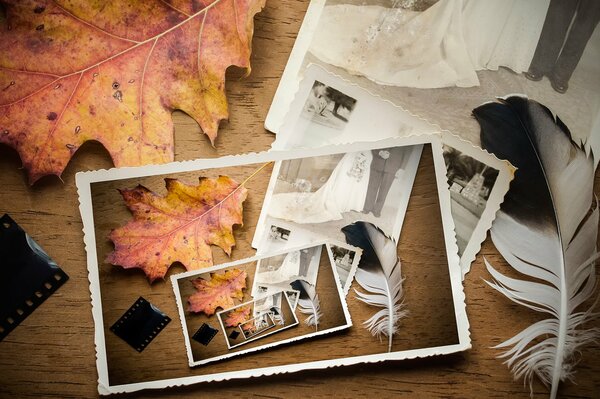 Souvenirs sur la photo du mariage à l automne