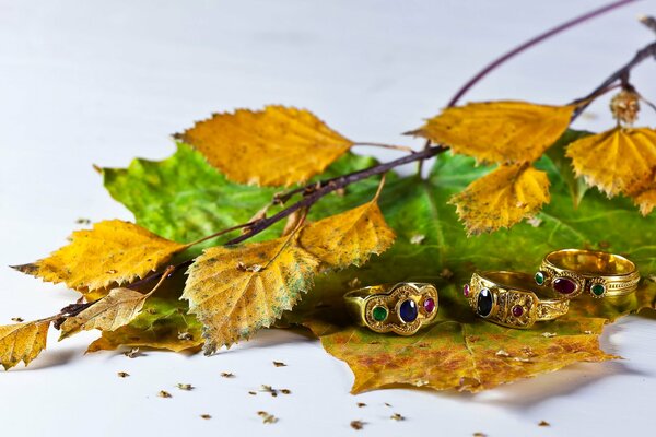 Decorazioni sullo sfondo del fogliame autunnale