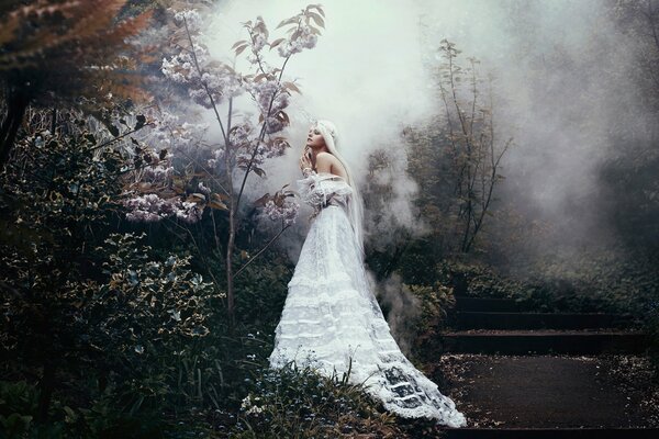 Ragazza in abito bianco nella foresta cupa