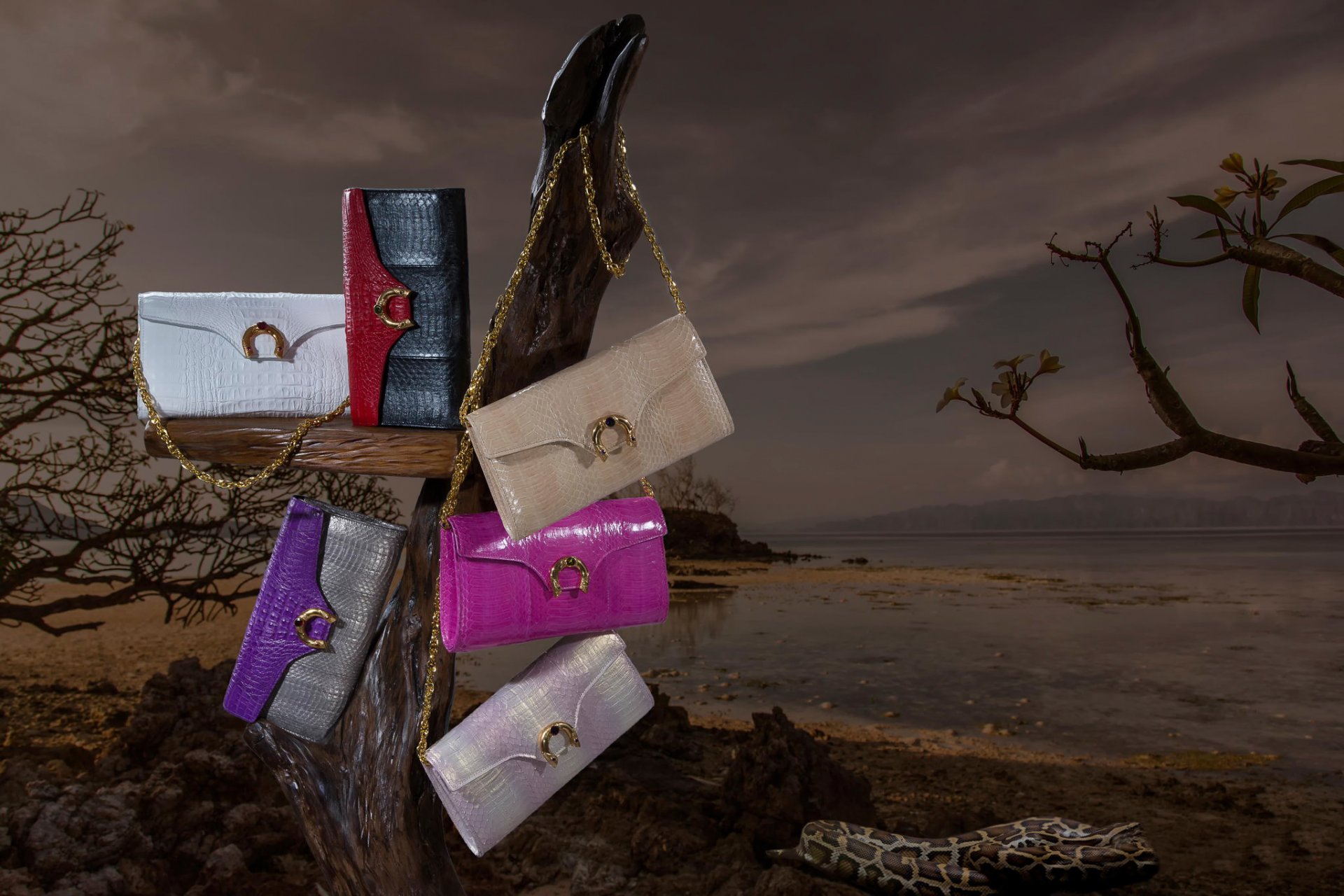 publicité commercial concept crocodile exotic sacs à main mer cuir serpent arbres daks sacs à main