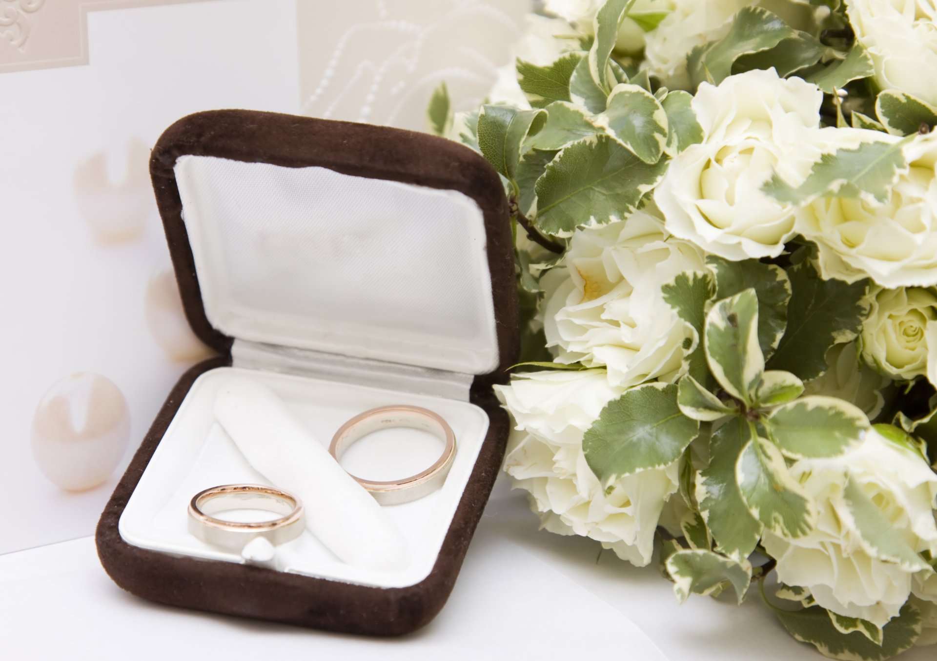 anillos de boda flores ramo rosas blancas ramo de rosas blancas