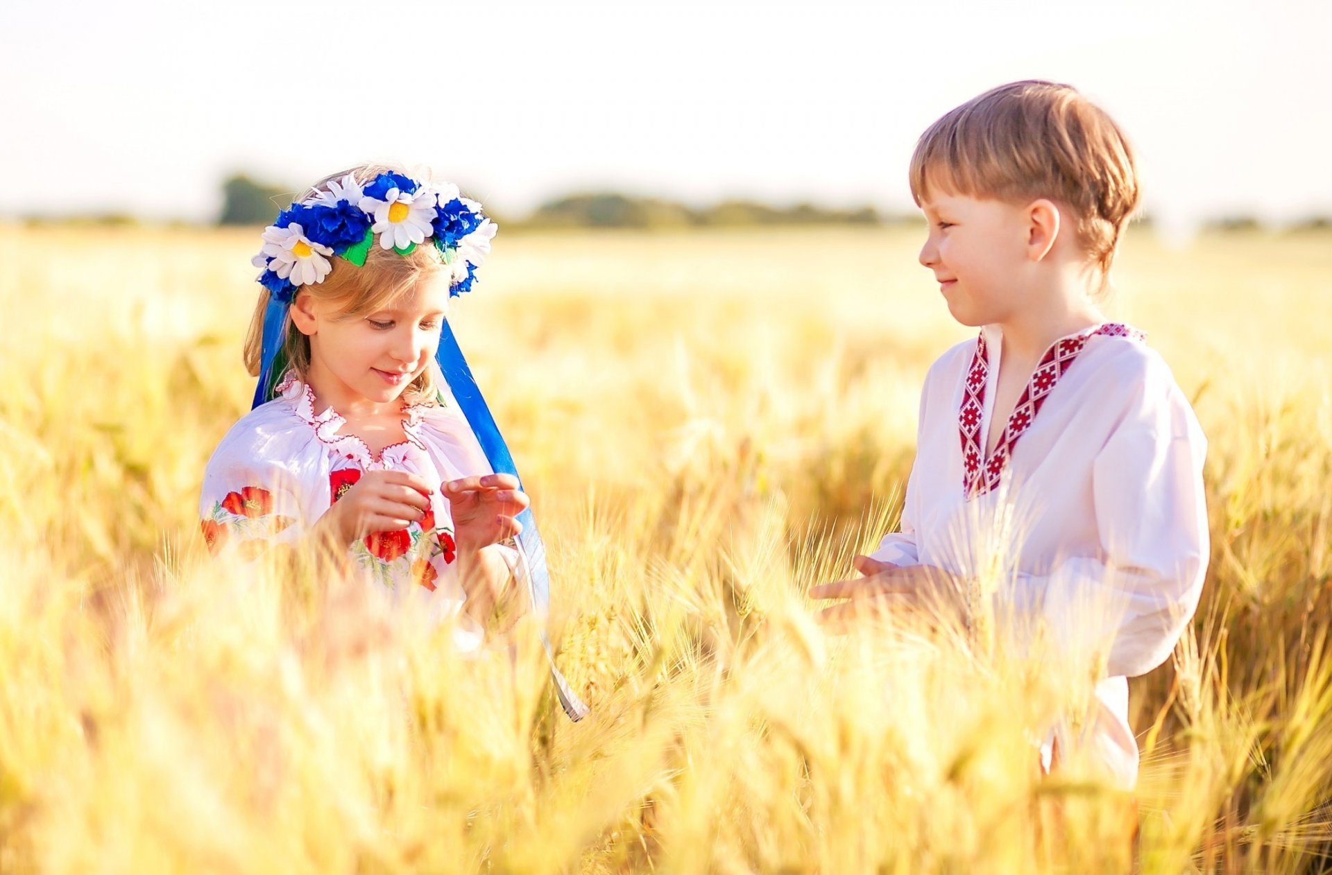 ukraine ukrainians children boys girl the field wheat wreath chamomile