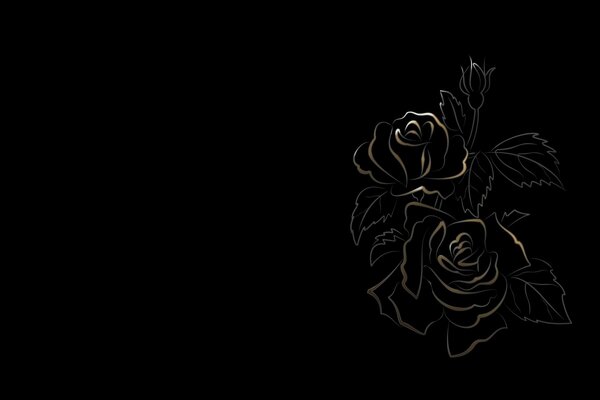 Drawing of flowers on a black background