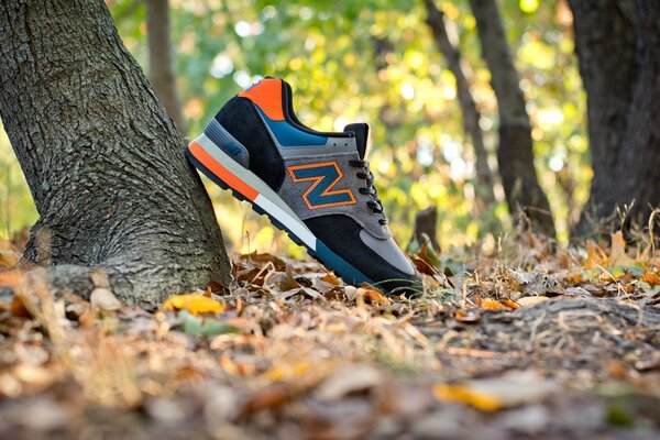 New balance sneakers on the background of an autumn forest