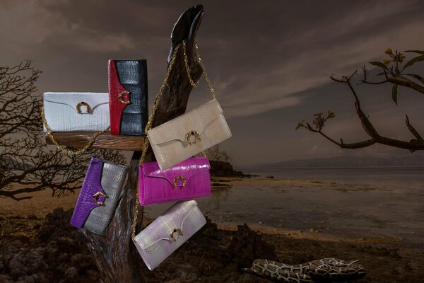 Unusual promotional photo of small handbags