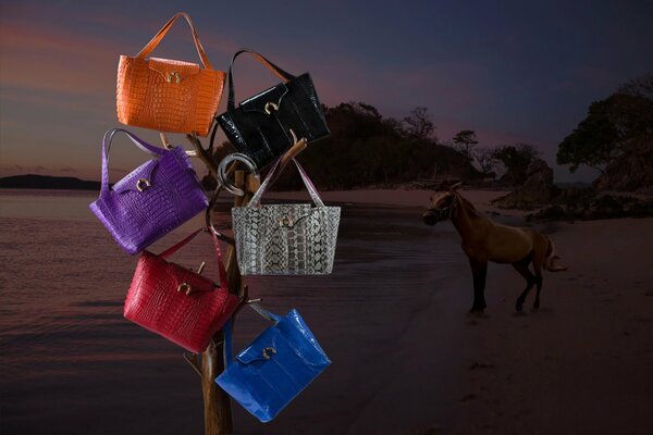 Colección de totes junto al mar con un caballo