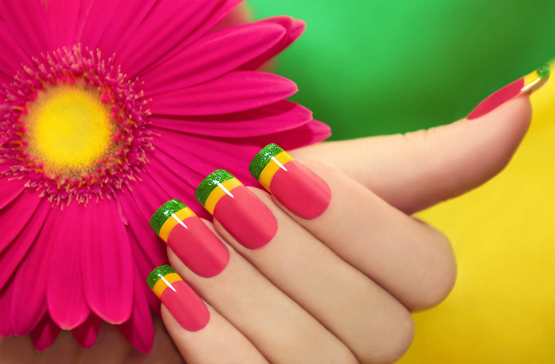 gerbera rosa flor manicura colorido