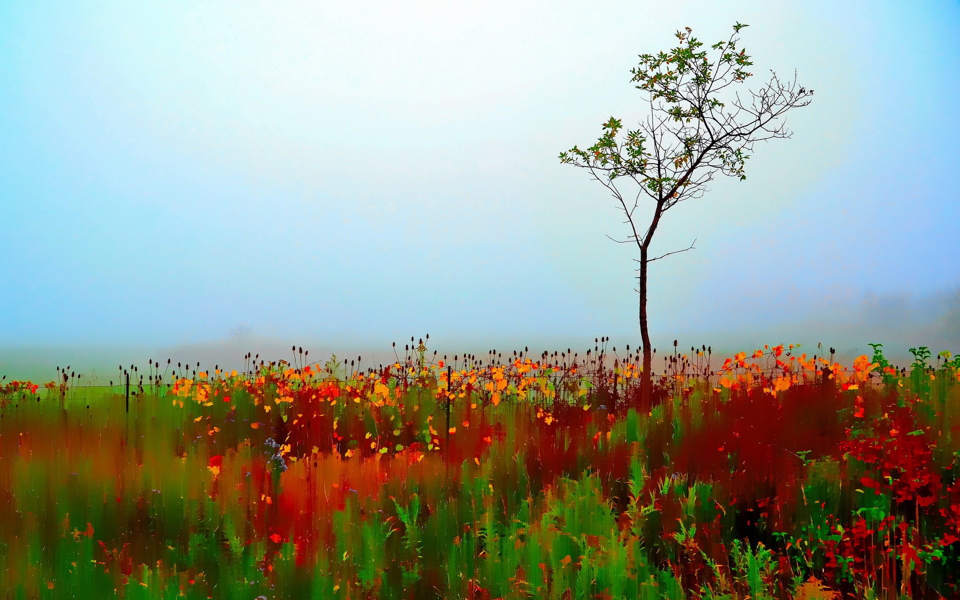 autumn blur colorful single tree painterly selective