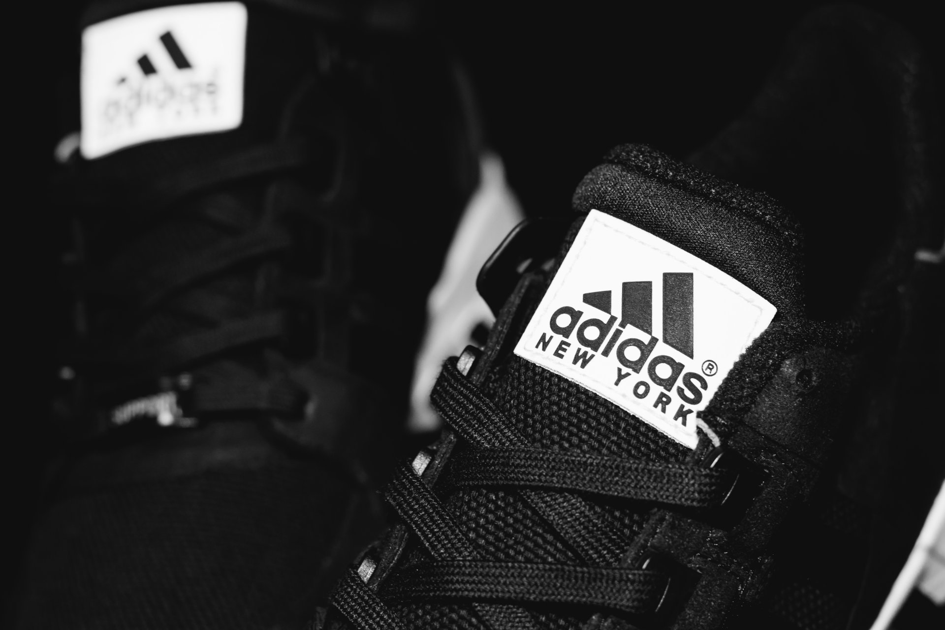 adidas eqt нью-йорк шнурки