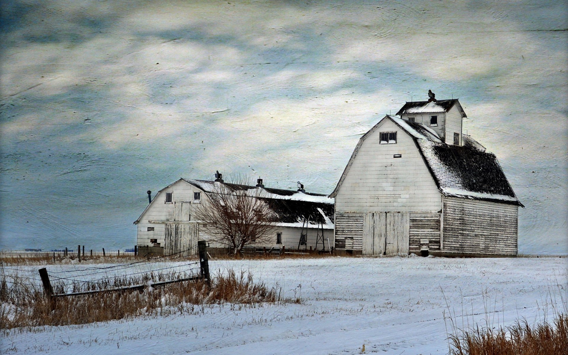 farm the field landscape background style