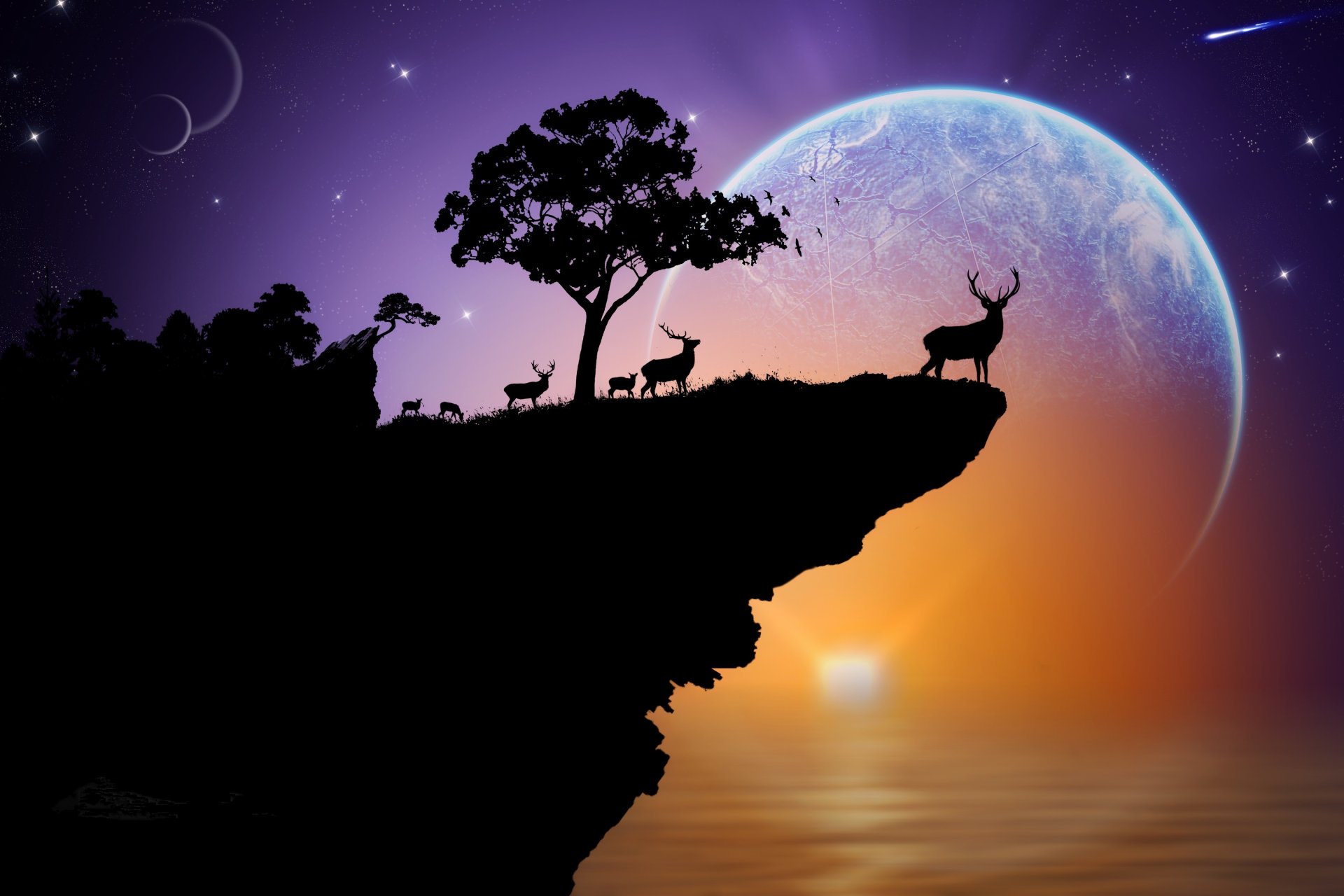 ilhouette reindeer planet sky star tree rock sea sunset