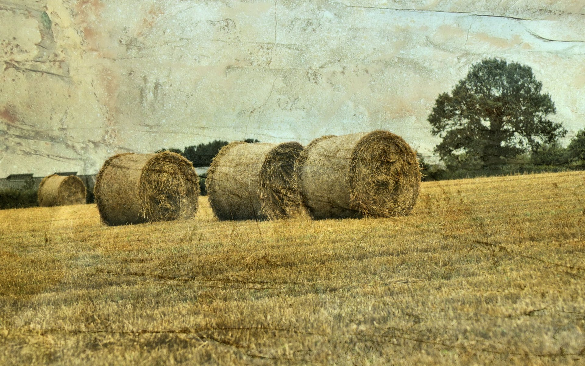 heno campo paisaje estilo