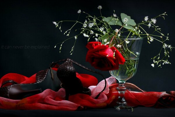 A rose in a glass on the background of a red handkerchief