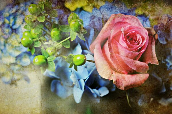 Rose rose, art floral