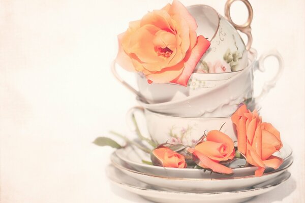 Cups decorated with tea rose leaves