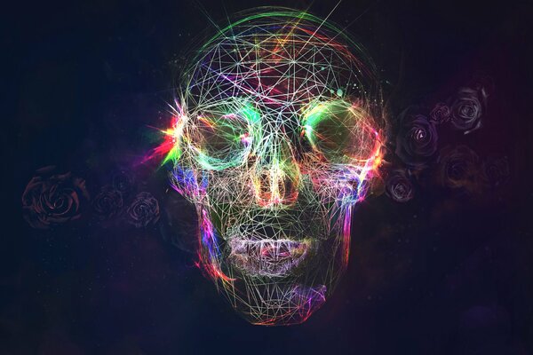 Image d art du crâne sous la forme de fils lumineux