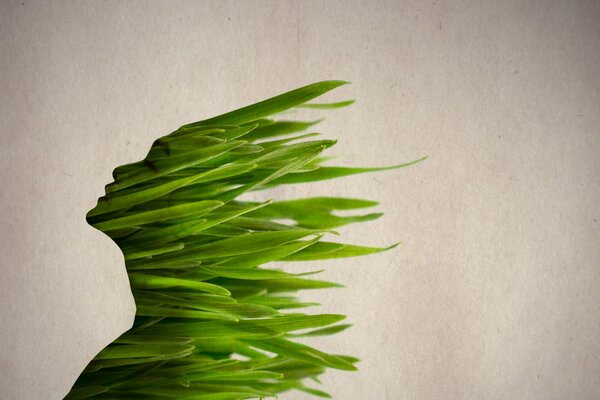 Silhouette of a girl in the format of green grass