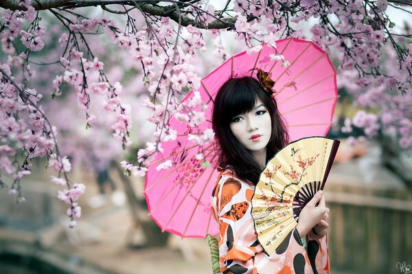 Asie ventilateur Sakura parapluie