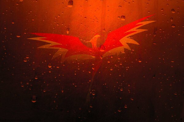 Graphic firebird bird on a red background