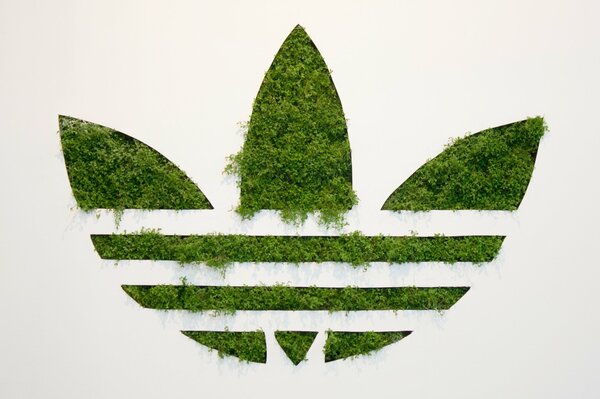 Grünes Adidas-Logo auf weißem Hintergrund