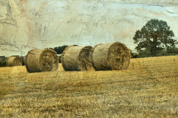 Paisaje Pajares en el campo