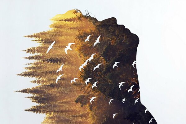 Silueta de una niña con la imagen de un bosque dorado y pájaros voladores