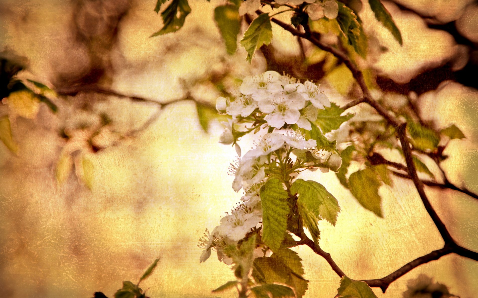 baum natur hintergrund stil