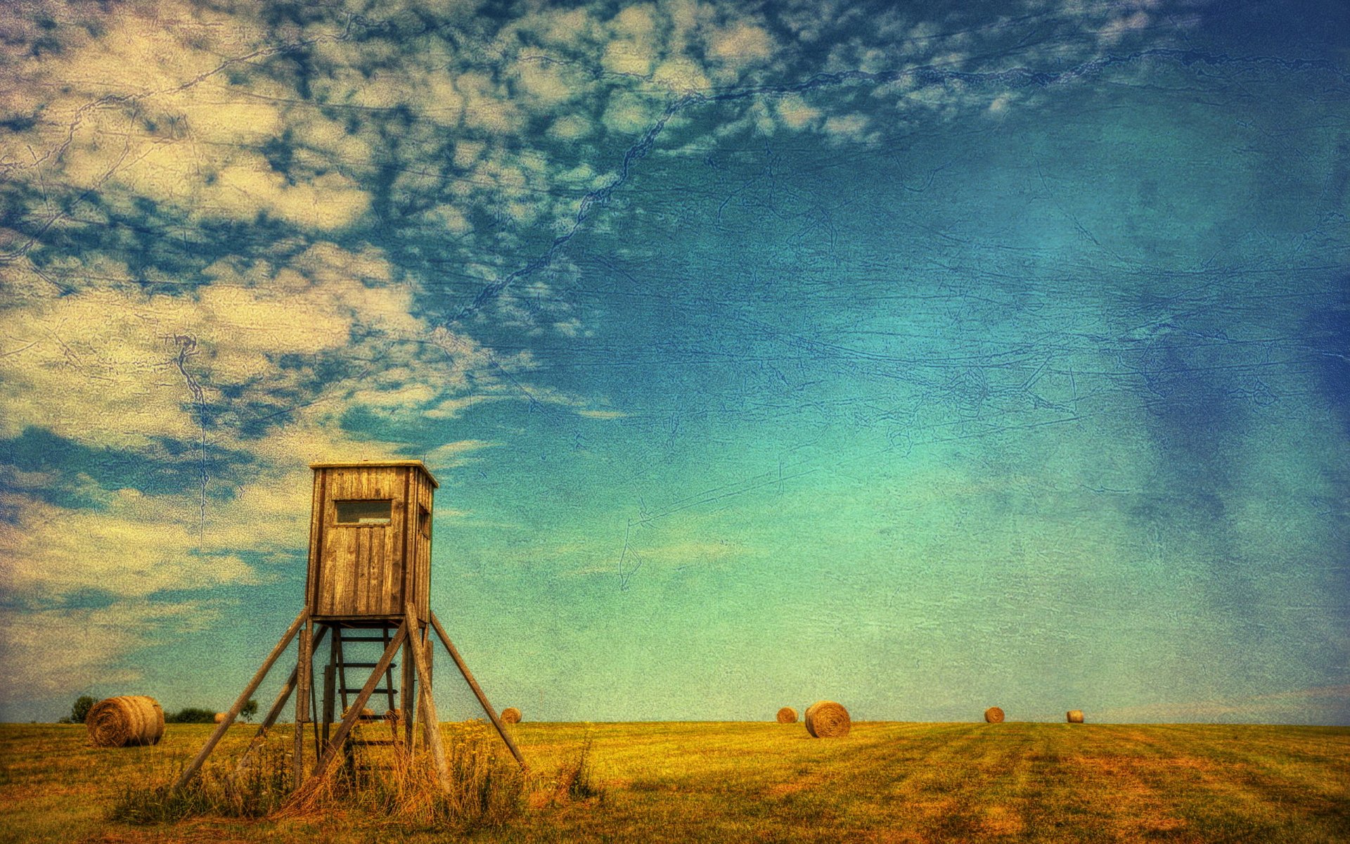 campo estate fieno paesaggio stile