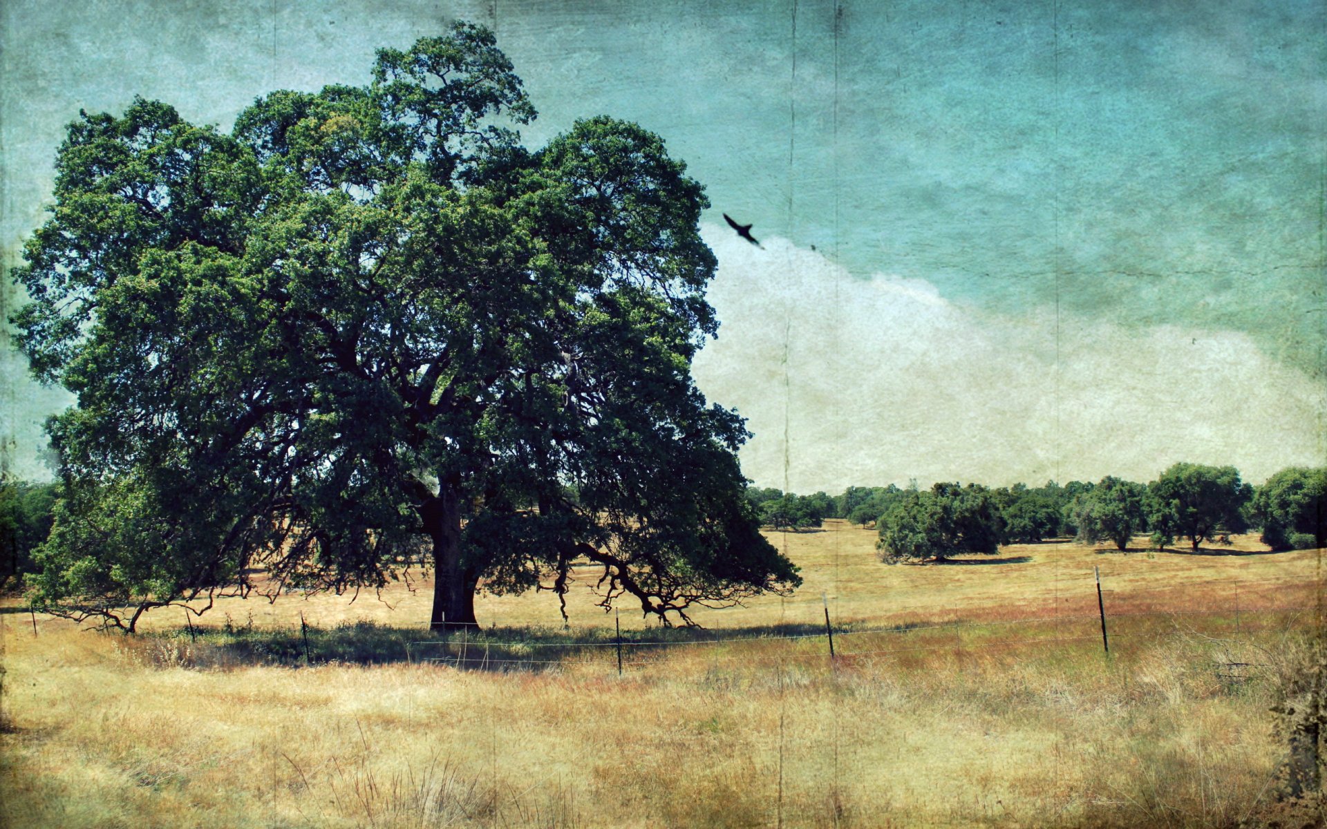 árbol paisaje fondo estilo