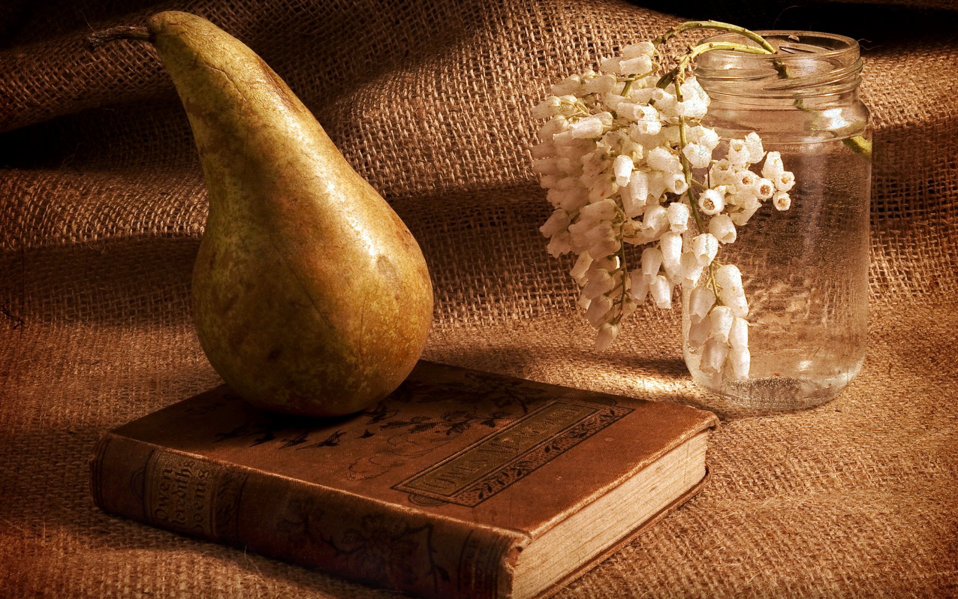 pear book flower still life background style