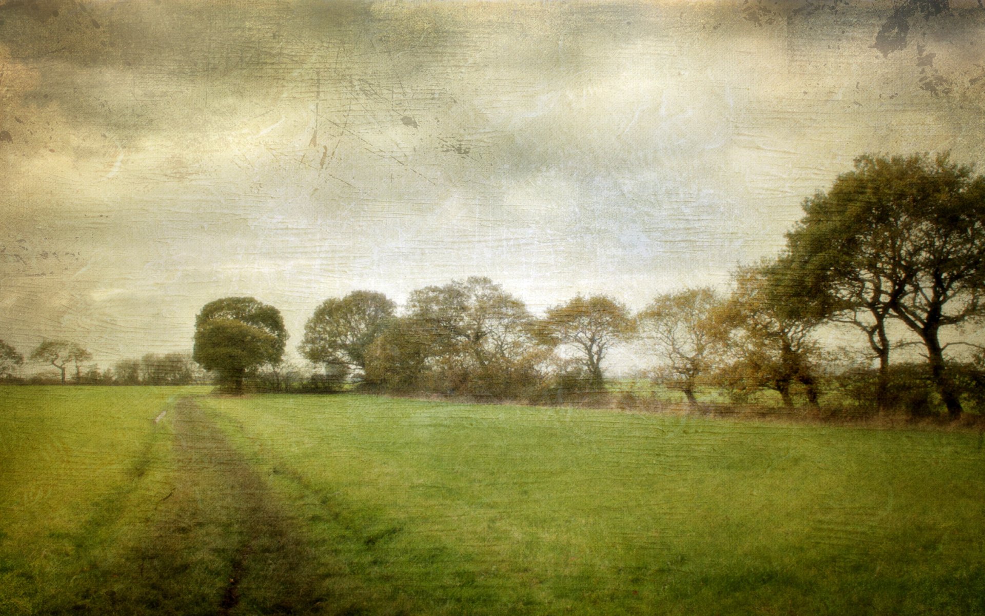 camino naturaleza fondo textura estilo