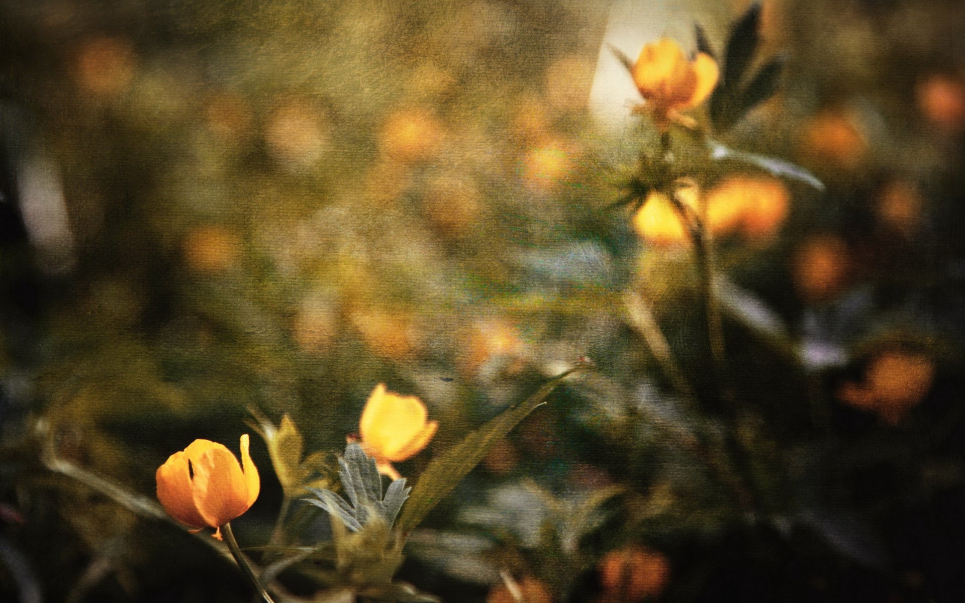 flores fondo textura estilo