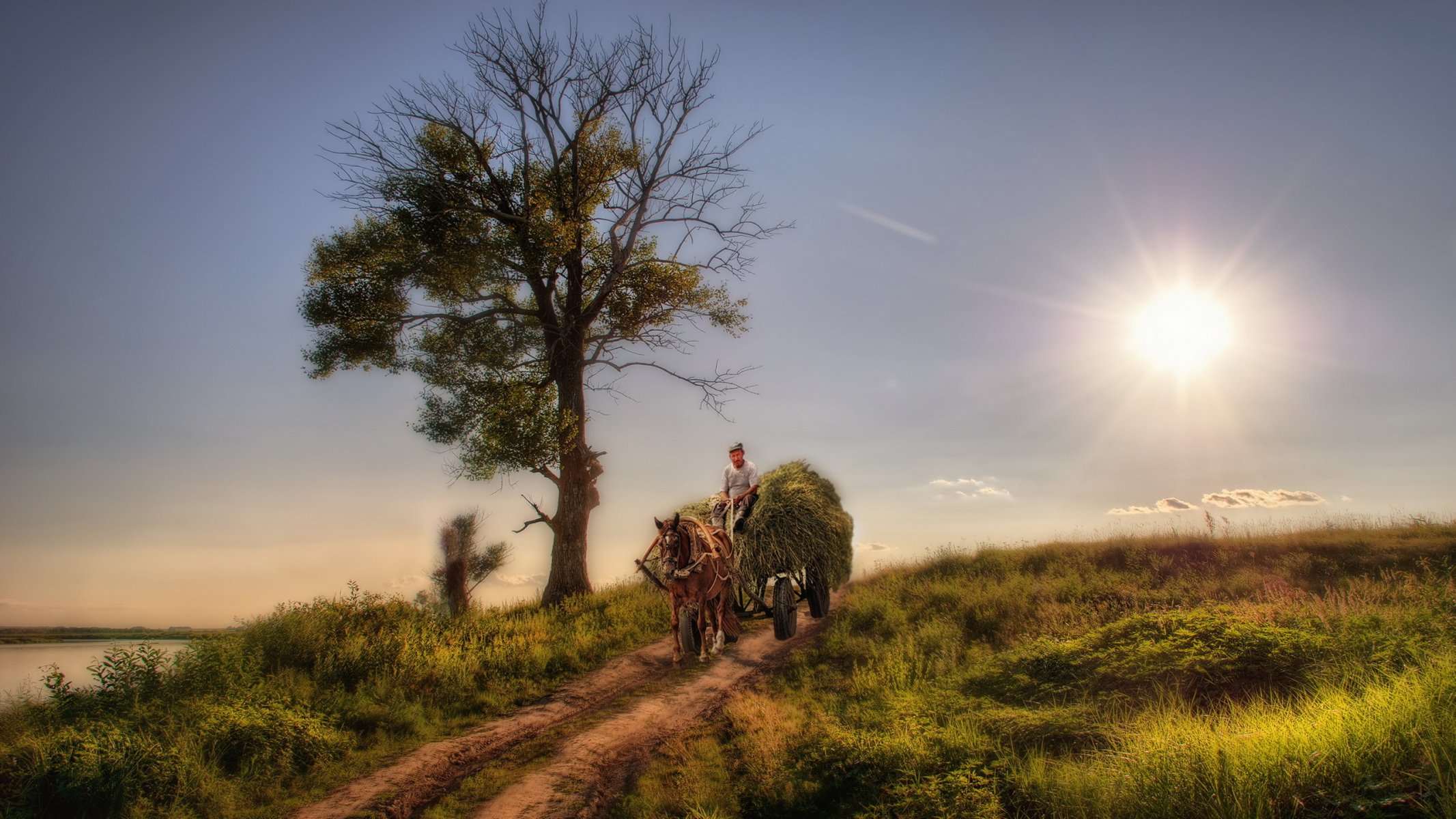 landscape wagon horses style beauty