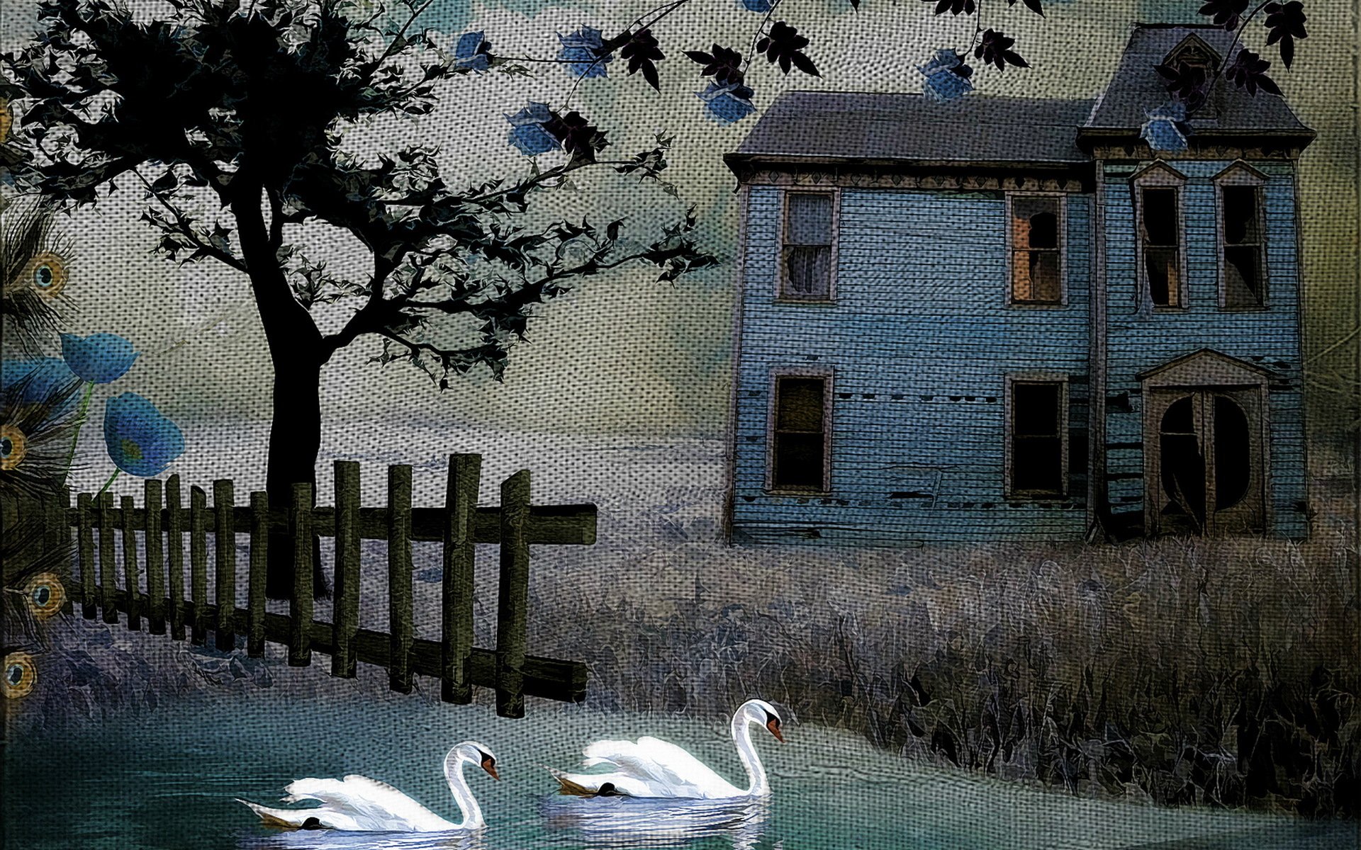 house swans background style