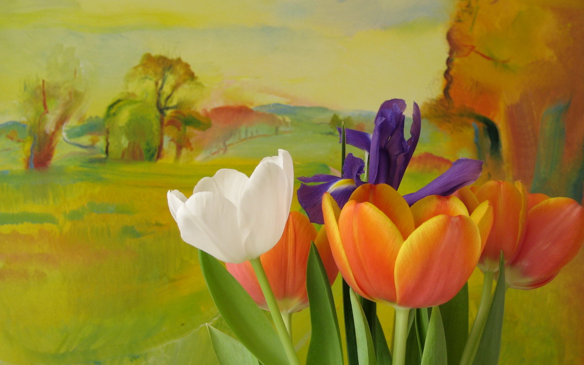 flower tulips background style