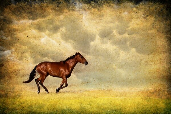 A brown horse runs across the field