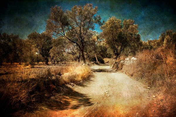 Camino de otoño hacia un futuro brillante